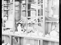 Les musées orientalistes parisiens pendant la Seconde Guerre mondiale