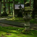 Temples d’hier, jardins d’aujourd’hui : l’éternité des mousses au Japon